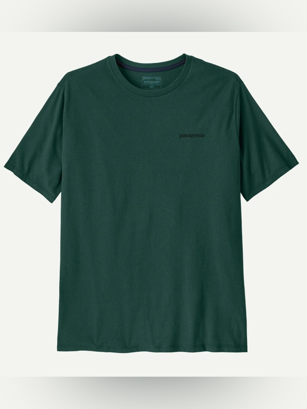 NWT Patagonia Short-Sleeve Crew Tee in Cascade Green